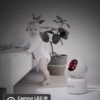 Caméra de surveillance intérieure Cococam 5MP – PTZ, suivi auto, 24/7