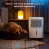 Déshumidificateur connecté Pro Breeze 12L – WiFi, ultra-silencieux 38 dB