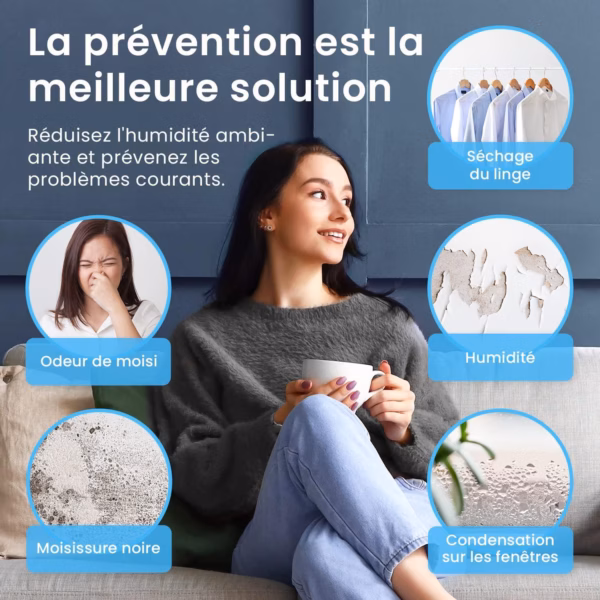 Déshumidificateur Pro Breeze 12L silencieux – écran tactile, 40 dB