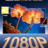 Proyector Wimius P61 Pro — 3 Proyector Wimius P61 Pro — 3
