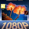 Proiettore Wimius P61 Pro — 3 Proiettore Wimius P61 Pro — 3