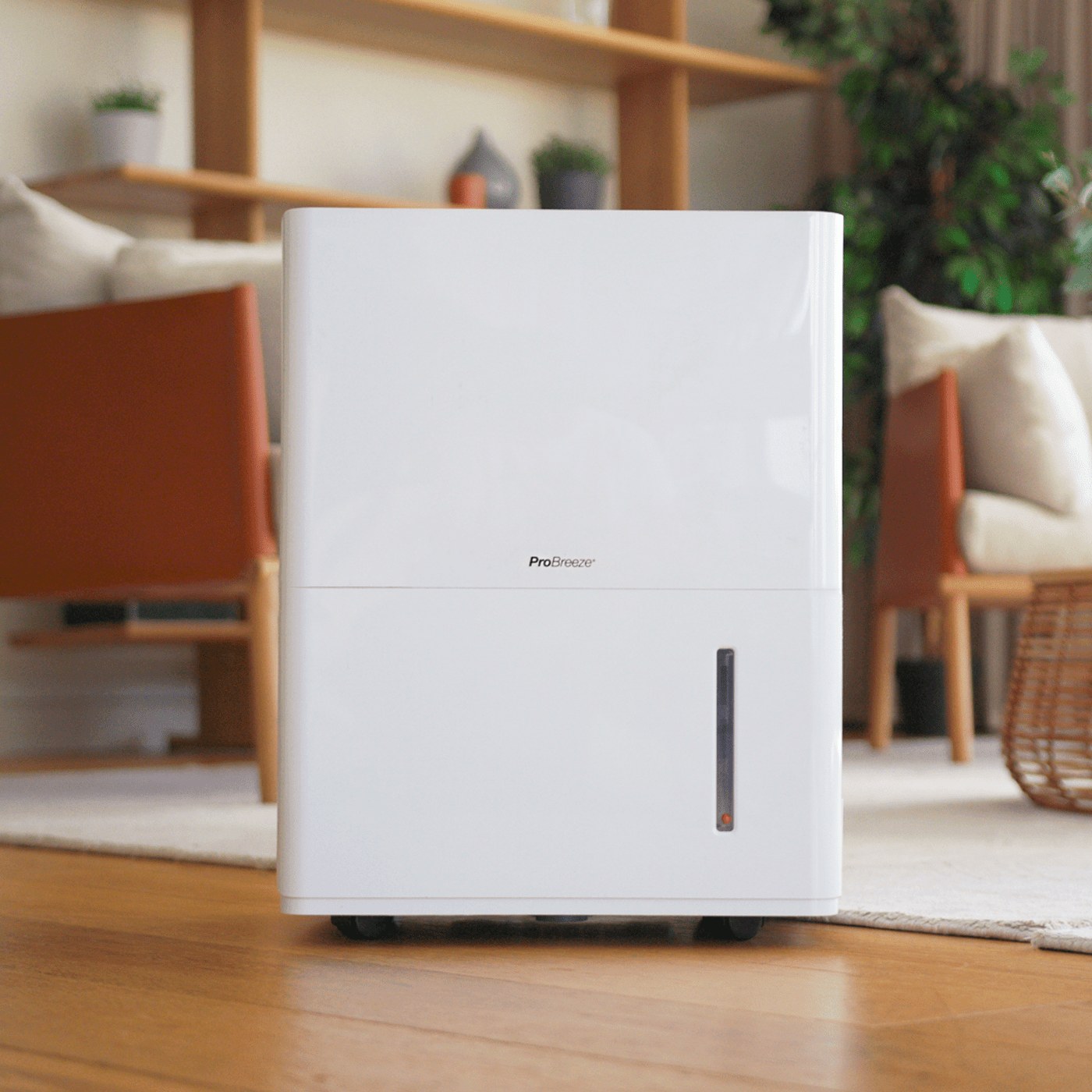 Luftentfeuchter Pro Breeze 30 L Wi-Fi PB-15 — Leistung gegen Feuchtigkeit im Alltag