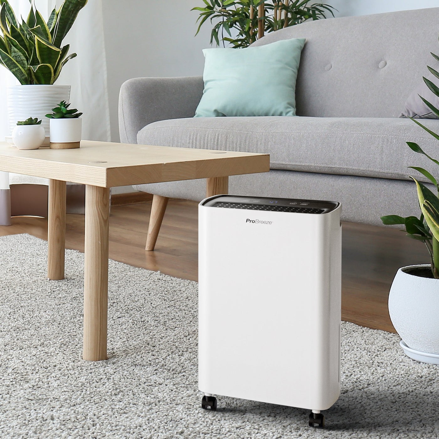 Déshumidificateur Pro Breeze 12 L PB-D-27 — Une vraie capacité pour l’humidité du quotidien