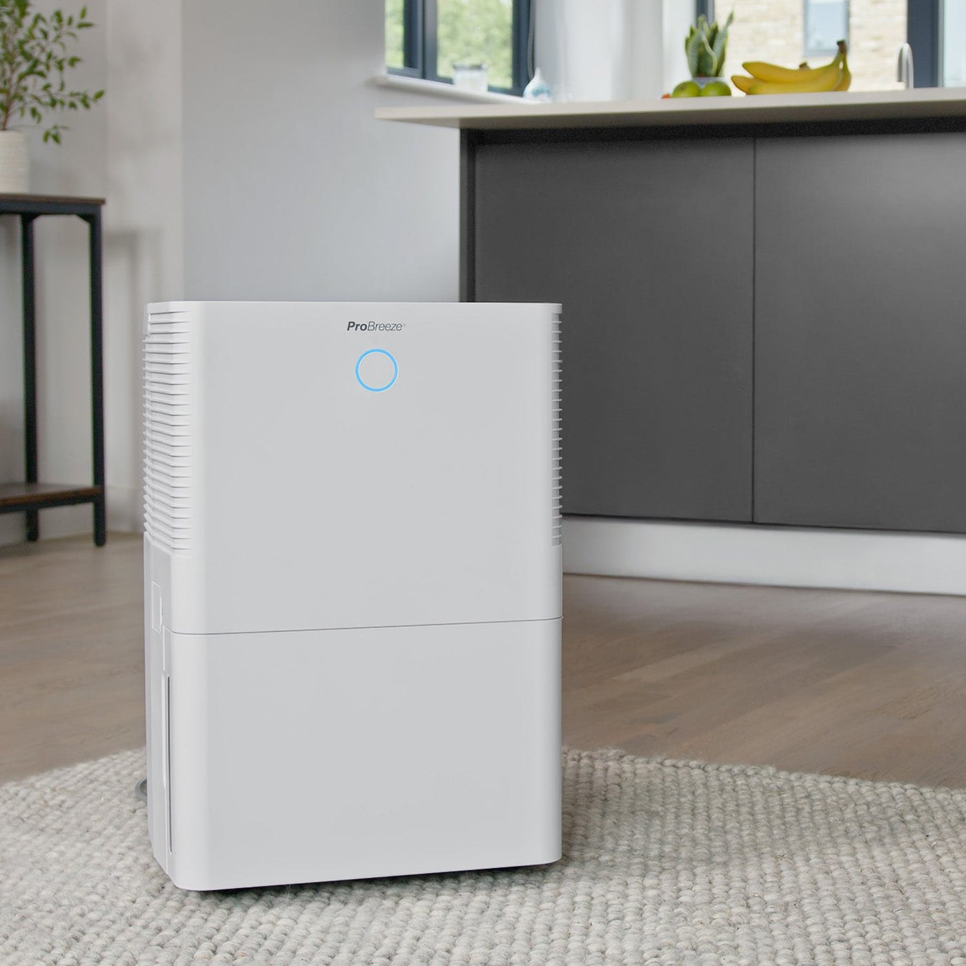 Luftentfeuchter Pro Breeze OmniDry 40 L Wi-Fi — Die Steuerung bleibt in Ihrer Hand