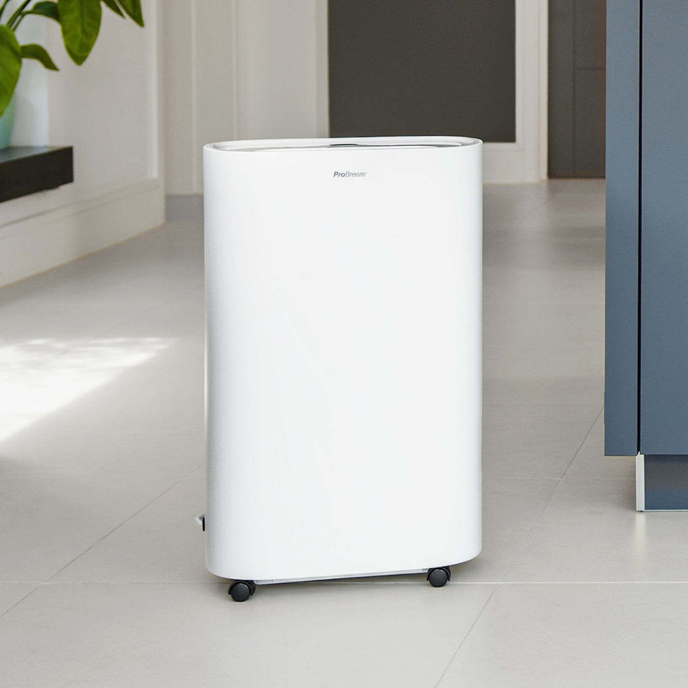 Luftentfeuchter Pro Breeze 25 L — Leistung gegen Feuchtigkeit im Alltag